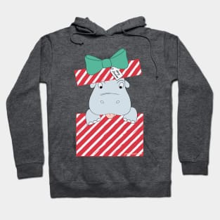 I want a Hippopotamus for Christmas © GraphicLoveShop Hoodie